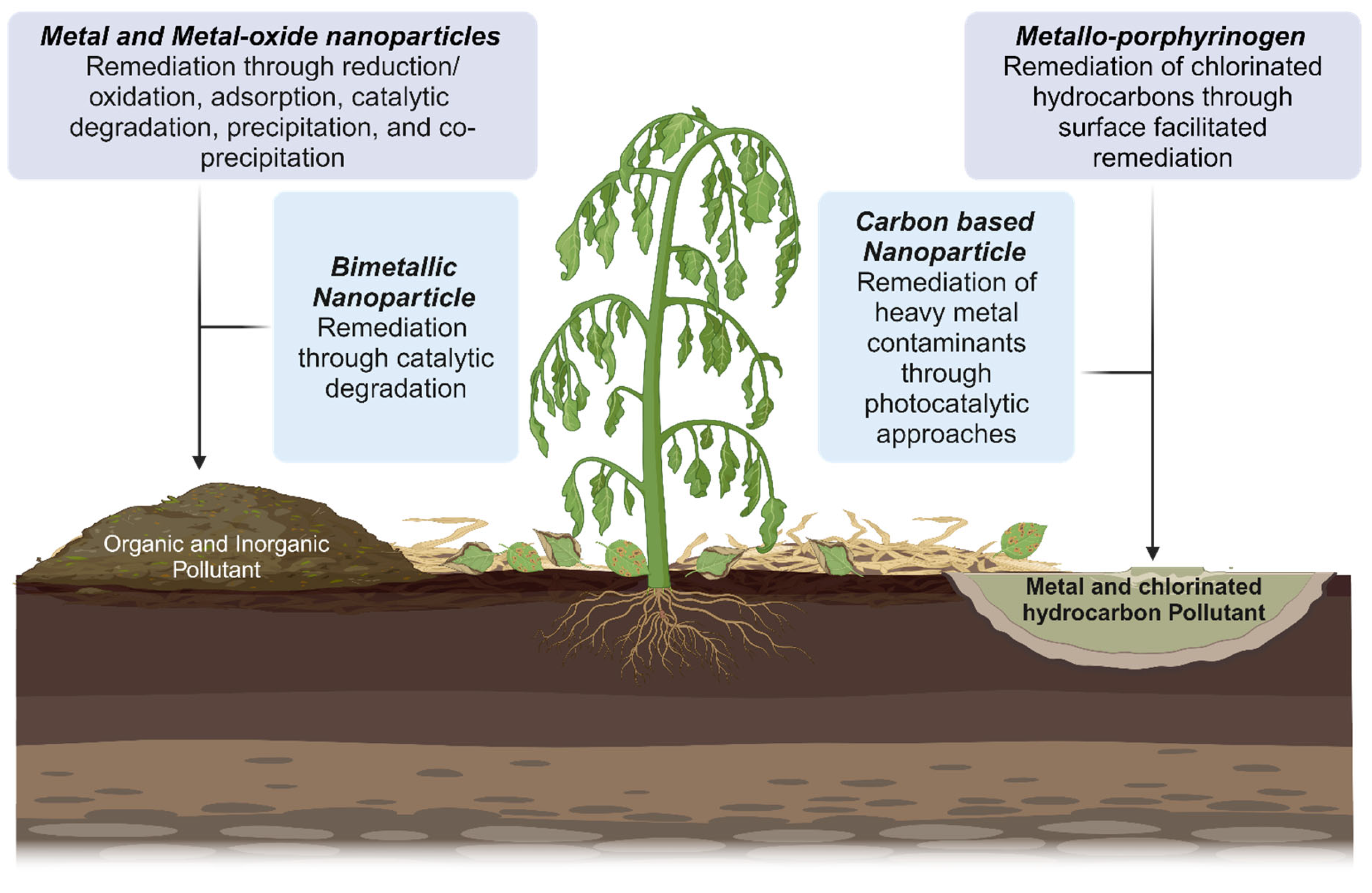 Pollutants 05 00037 g003 Pollutants 05 00037 g003