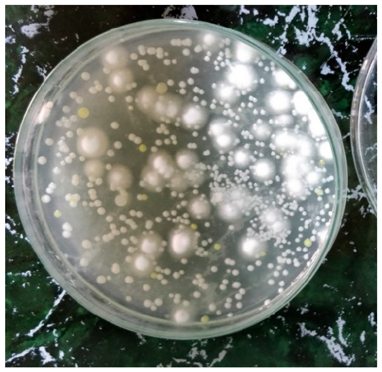 Pollutants 05 00047 g002