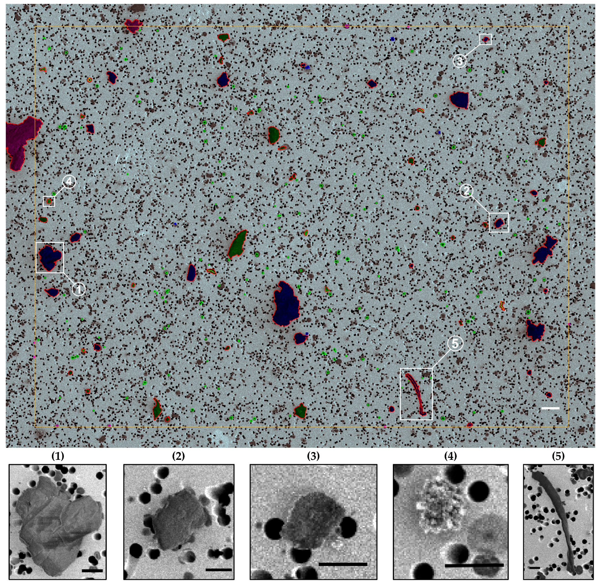 Pollutants 06 00006 g001 Pollutants 06 00006 g001