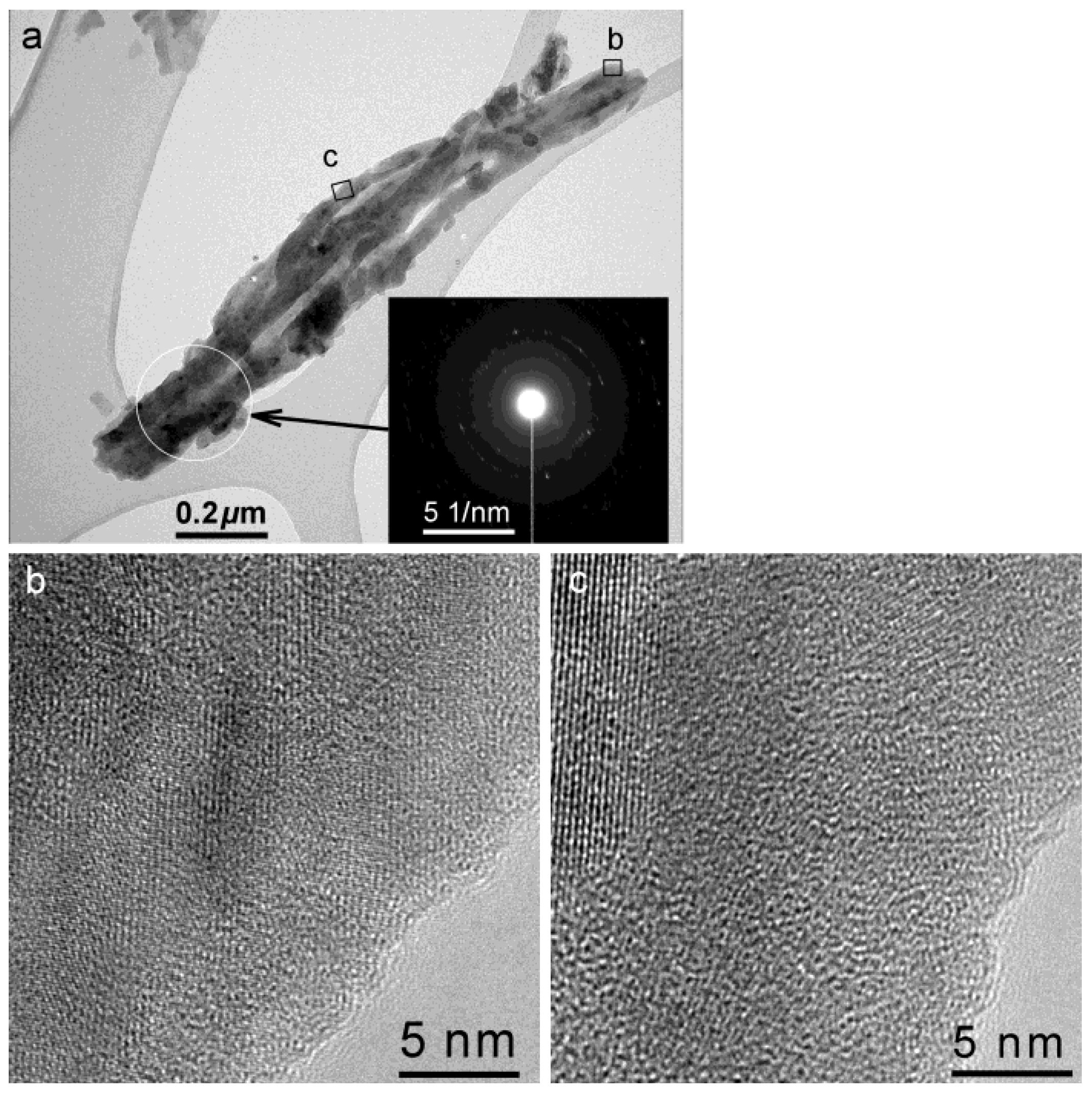 Polymers 02 00031 g001