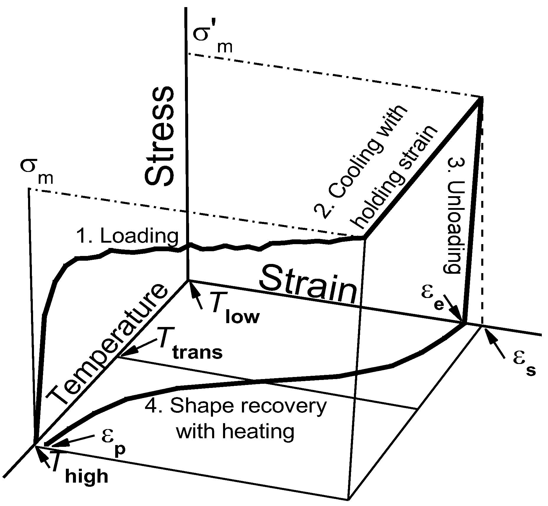 Polymers 02 00031 g002