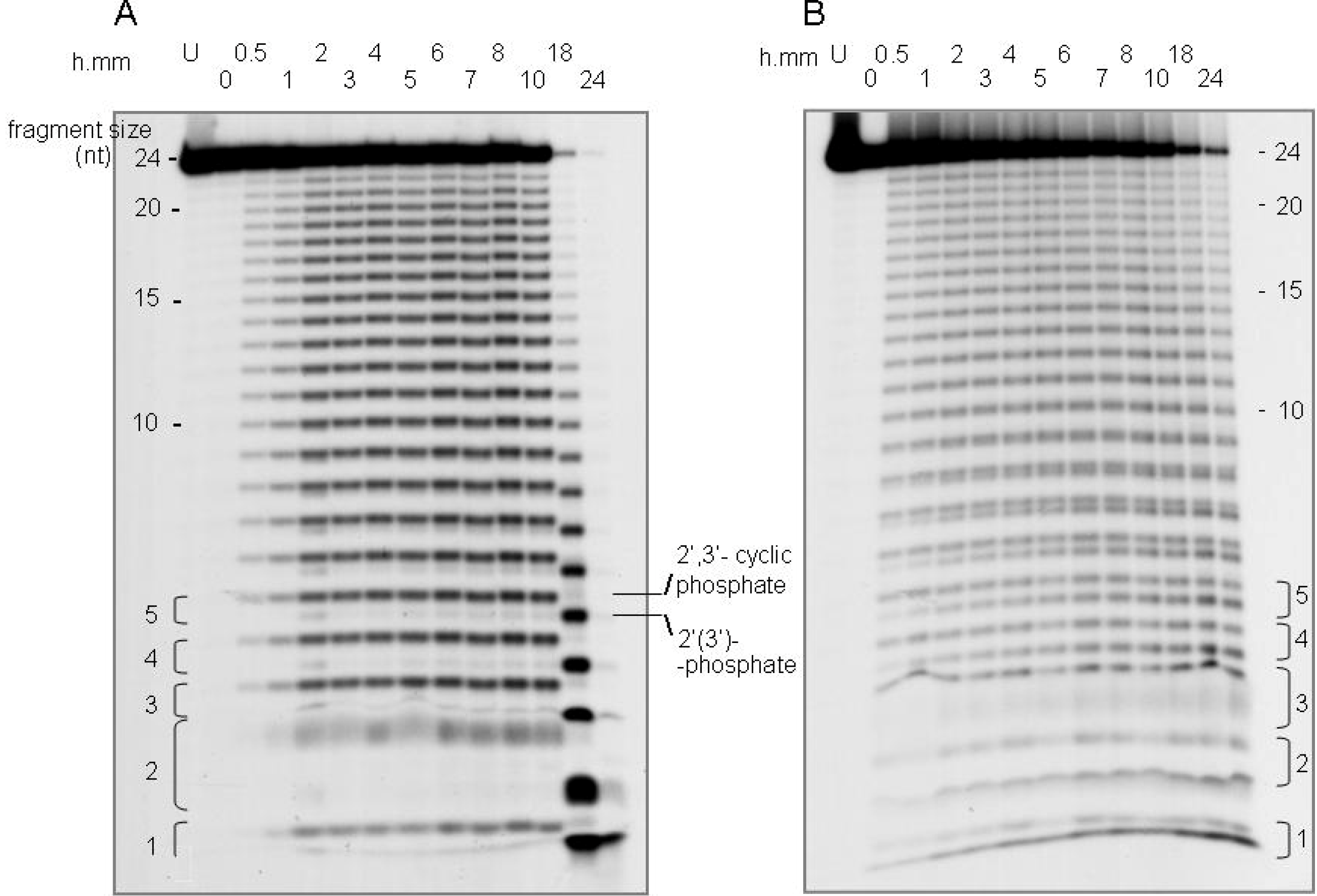 Polymers 02 00211 g002