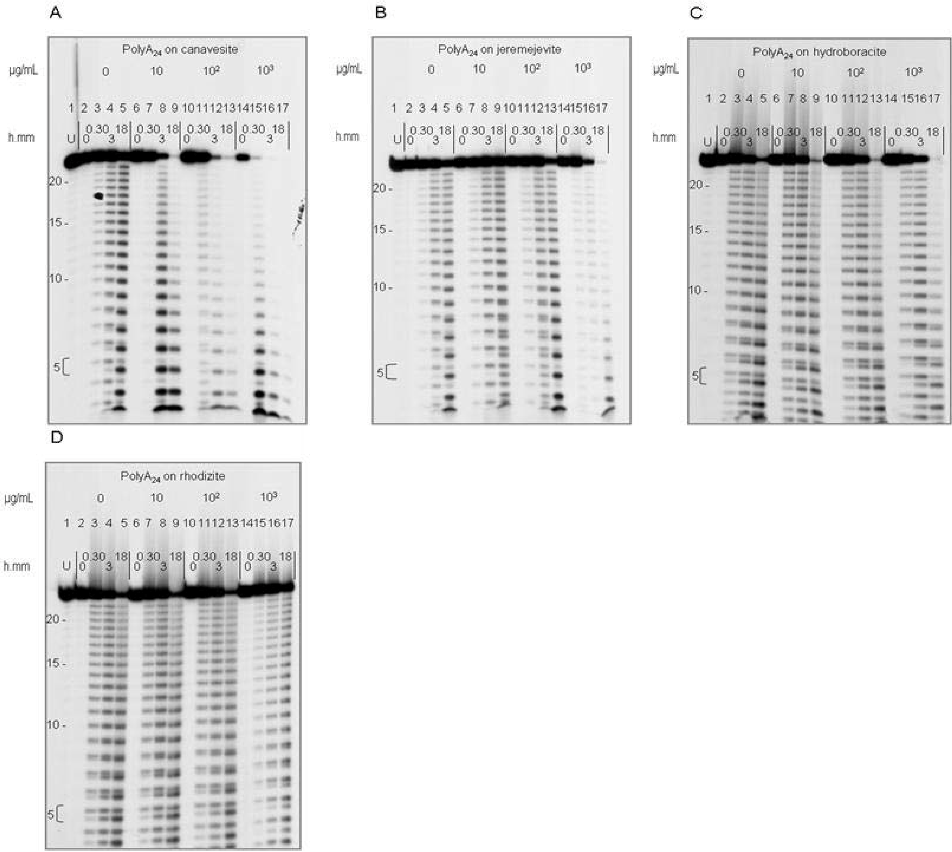 Polymers 02 00211 g005