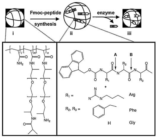 Polymers 02 00229 i005