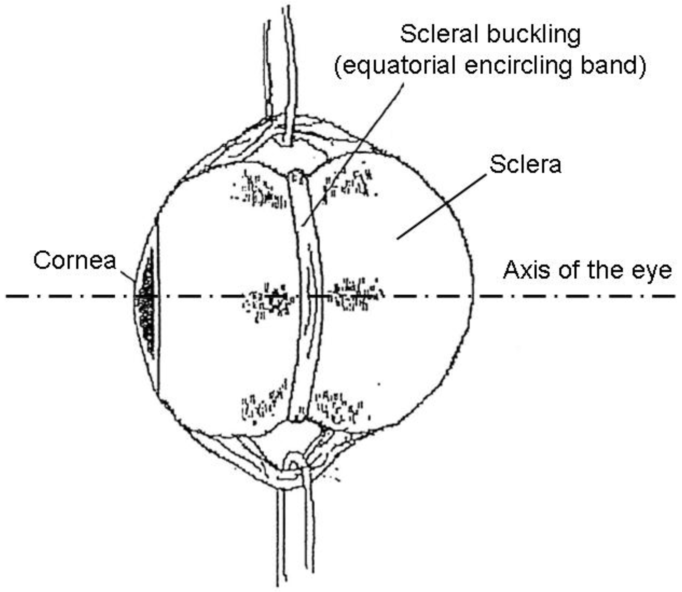 Polymers 02 00286 g002