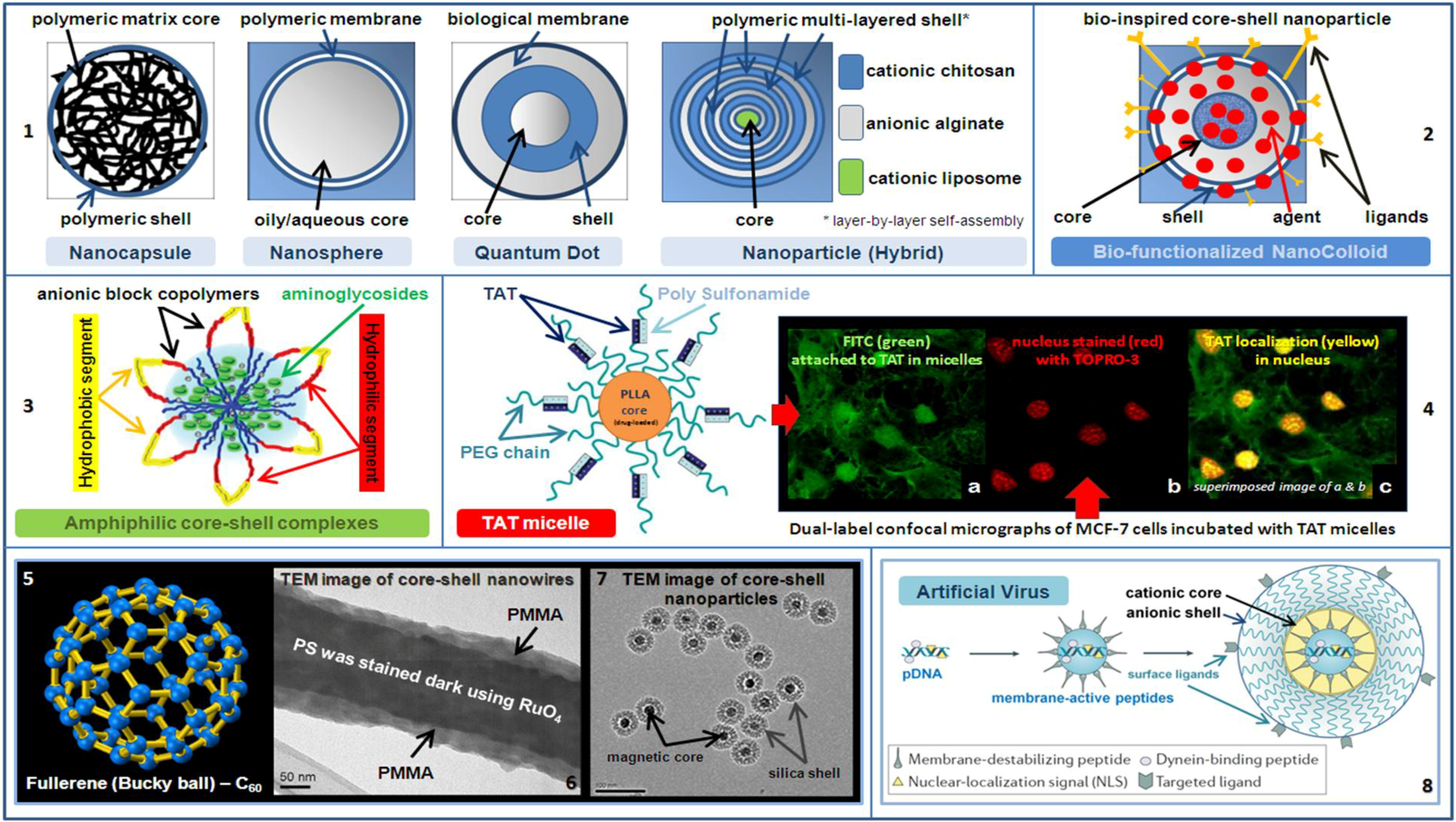 functionalized core shell nanoparticles functionalized core shell nanoparticles