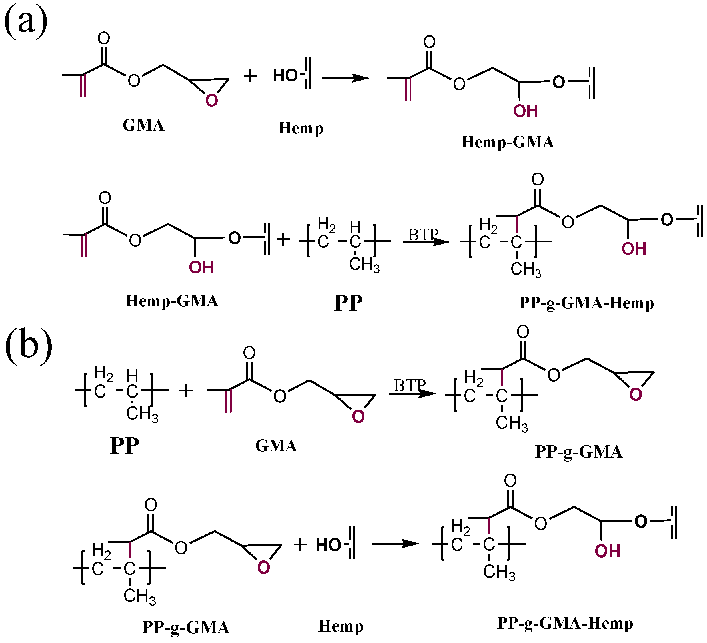 Polymers 02 00554 g002 1024