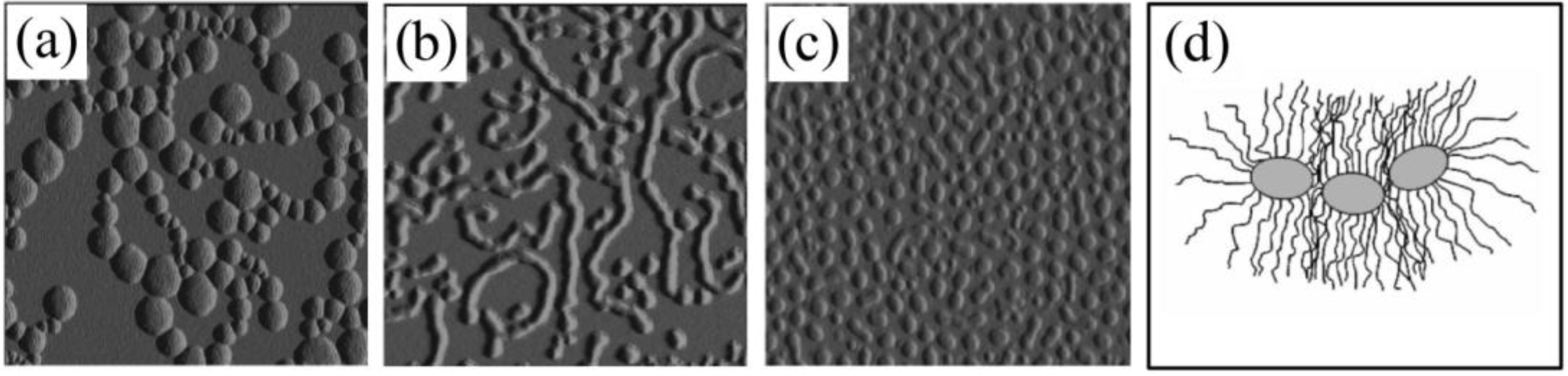 Polymers 02 00596 g003 1024