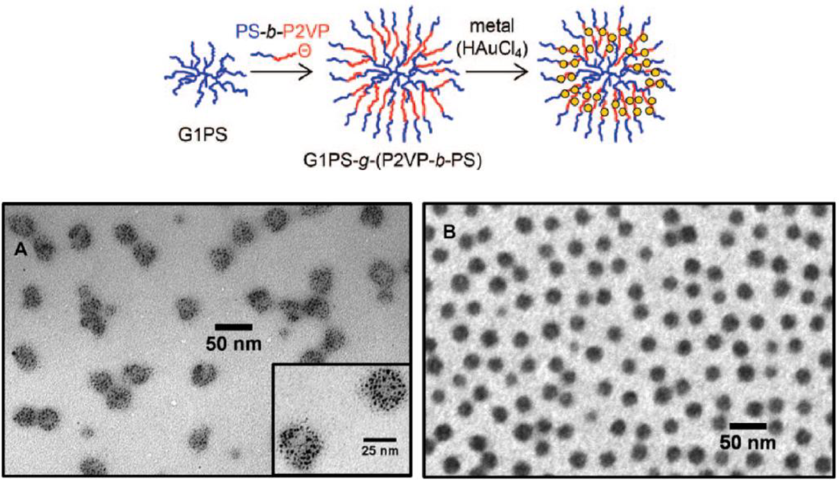 Polymers 02 00596 g007 1024