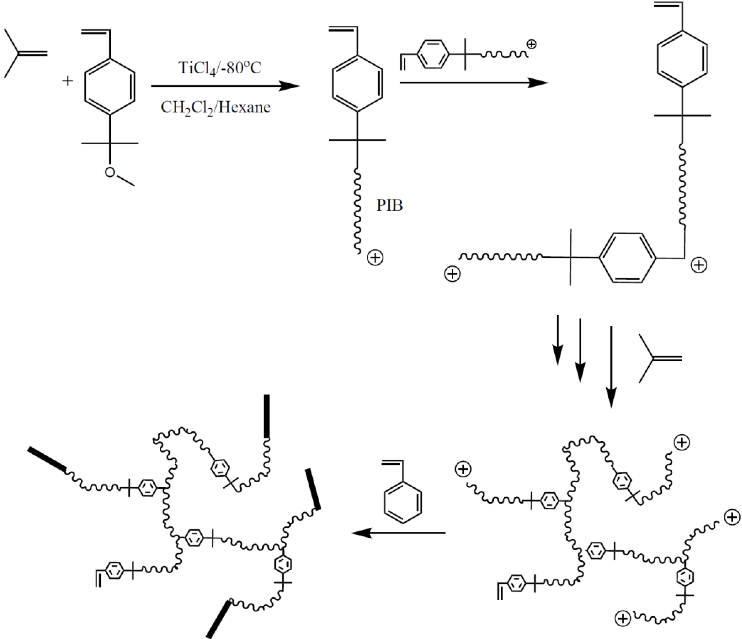Polymers 02 00596 g013 1024