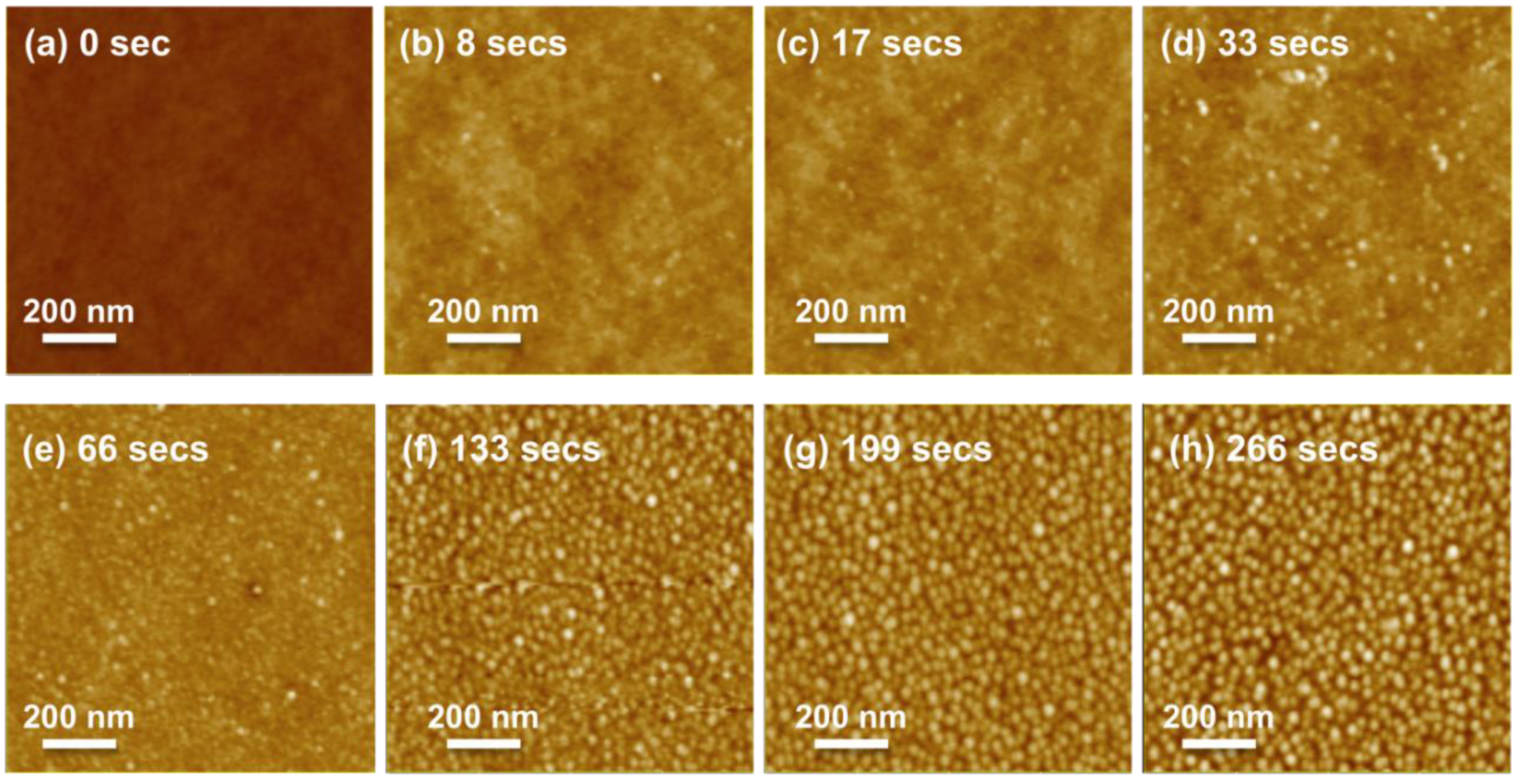 Area-Selective Etching of Poly(methyl methacrylate) Films by