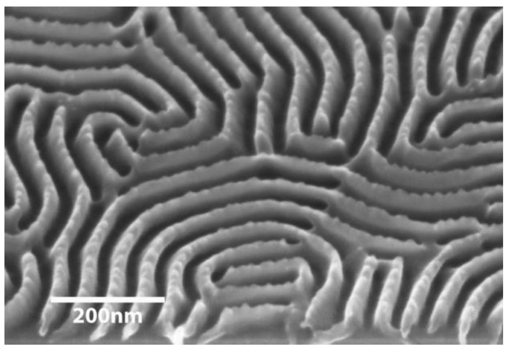 Polymers 02 00649 g008 1024