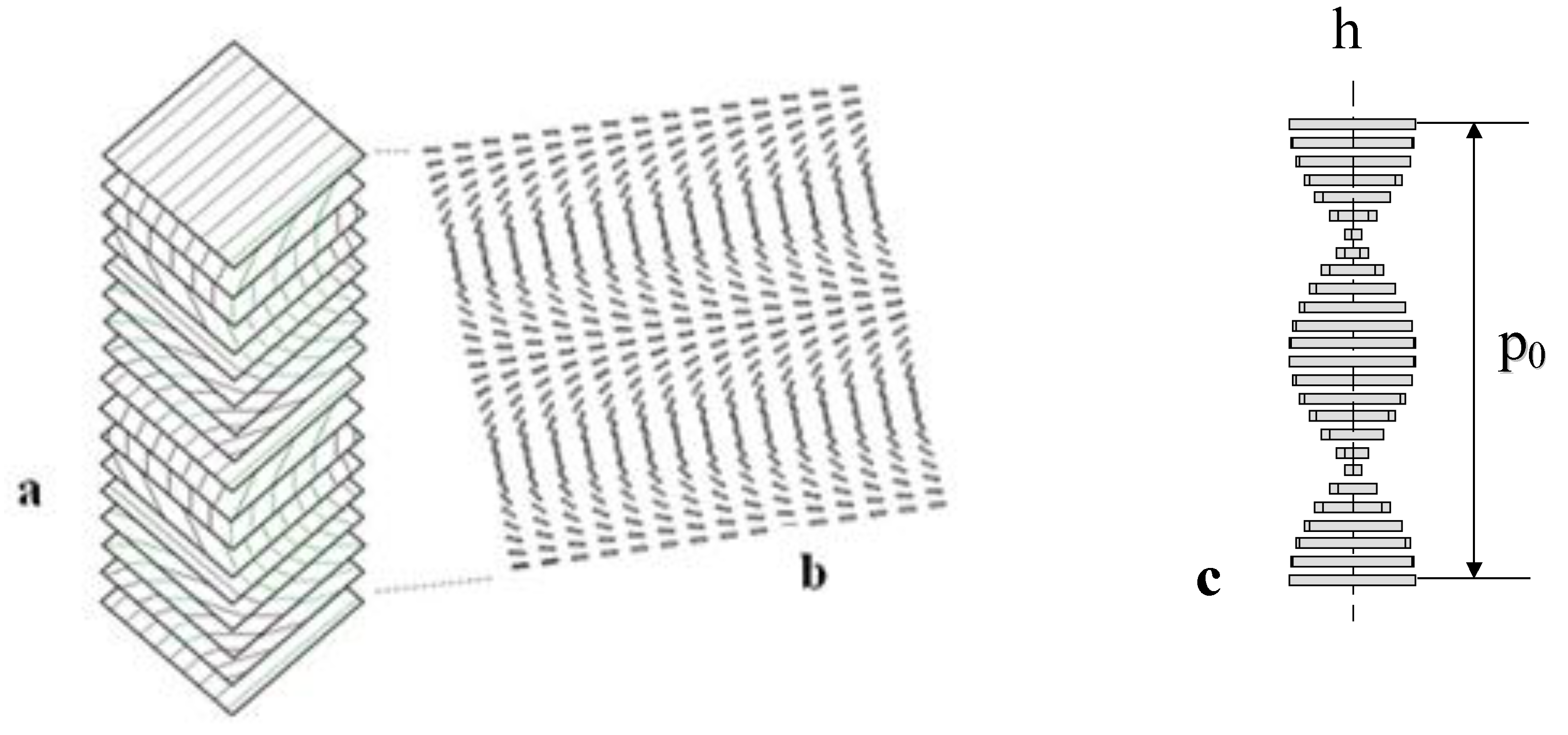 Polymers 02 00766 g001