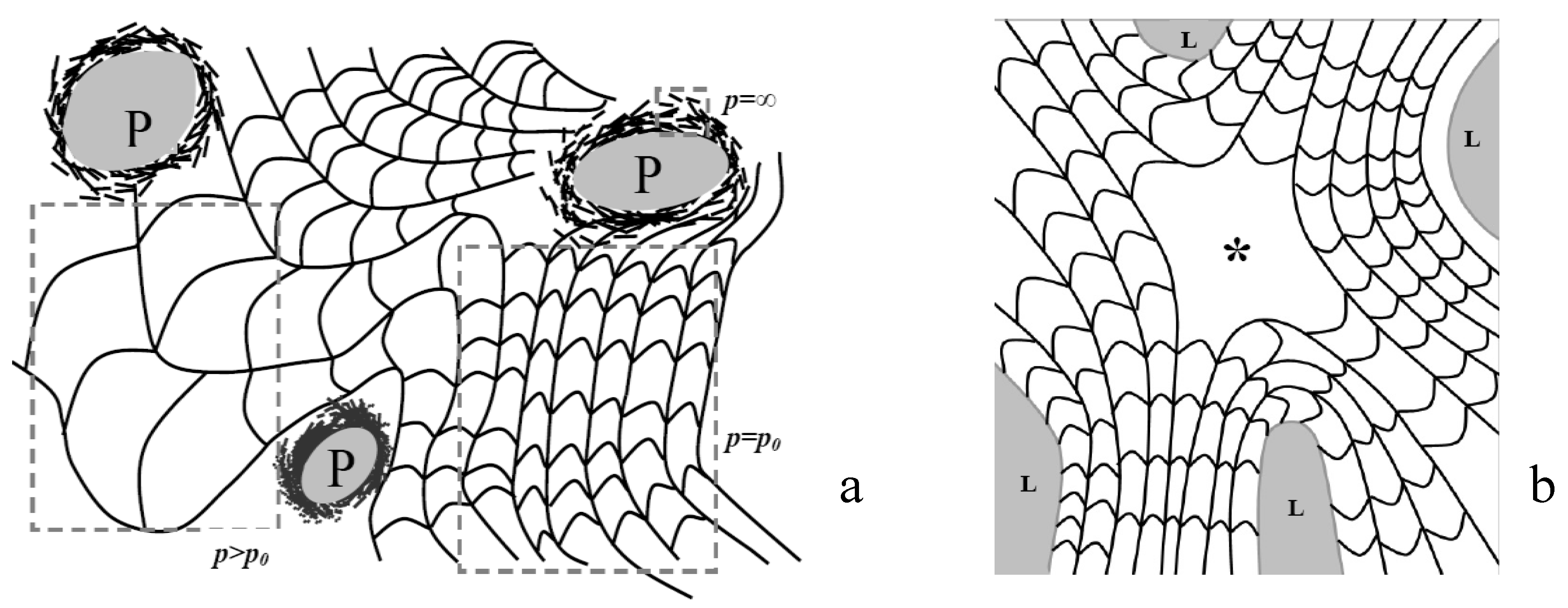 Polymers 02 00766 g002
