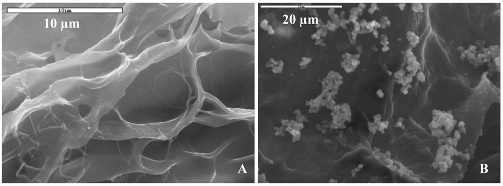 Polymers 03 00010f4 1024