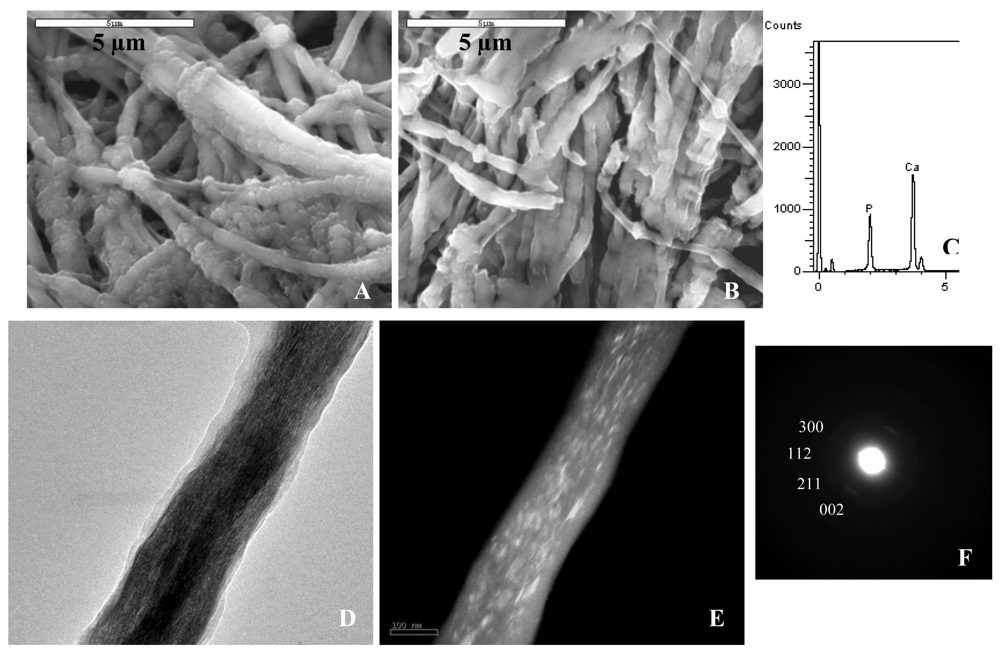 Polymers 03 00010f5 1024