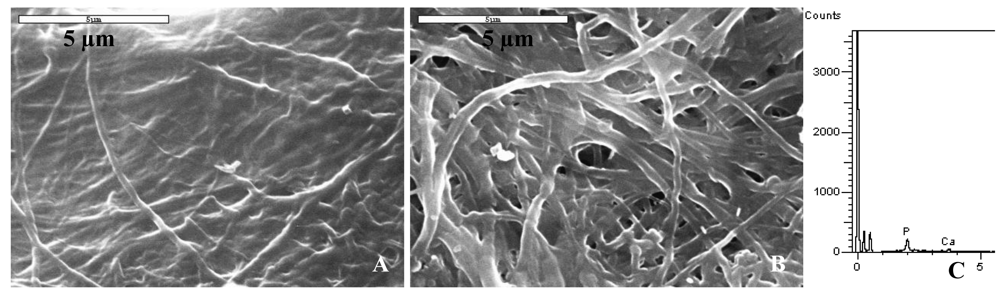 Polymers 03 00010f7 1024