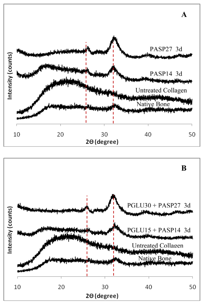 Polymers 03 00010f8a 1024