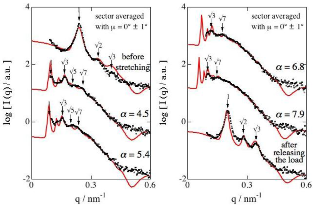 Polymers Free Full Text Spontaneous Enhancement Of Packing Regularity Of Spherical Microdomains In The Body Centered Cubic Lattice Upon Uniaxial Stretching Of Elastomeric Triblock Copolymers Polymers Free Full Text Spontaneous Enhancement Of Packing Regularity Of Spherical Microdomains In The Body Centered Cubic Lattice Upon Uniaxial Stretching Of Elastomeric Triblock Copolymers