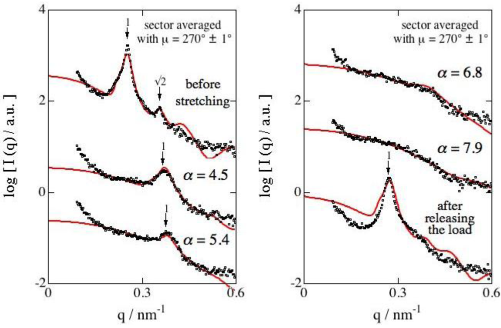Polymers 03 00036f6 1024