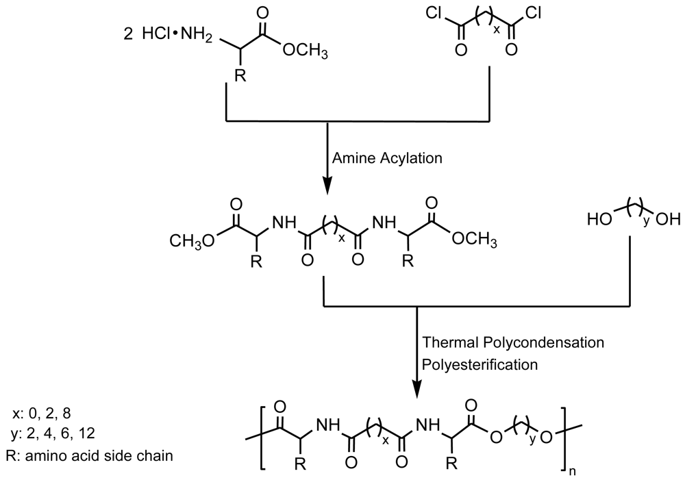 Polymers 03 00065f3 1024