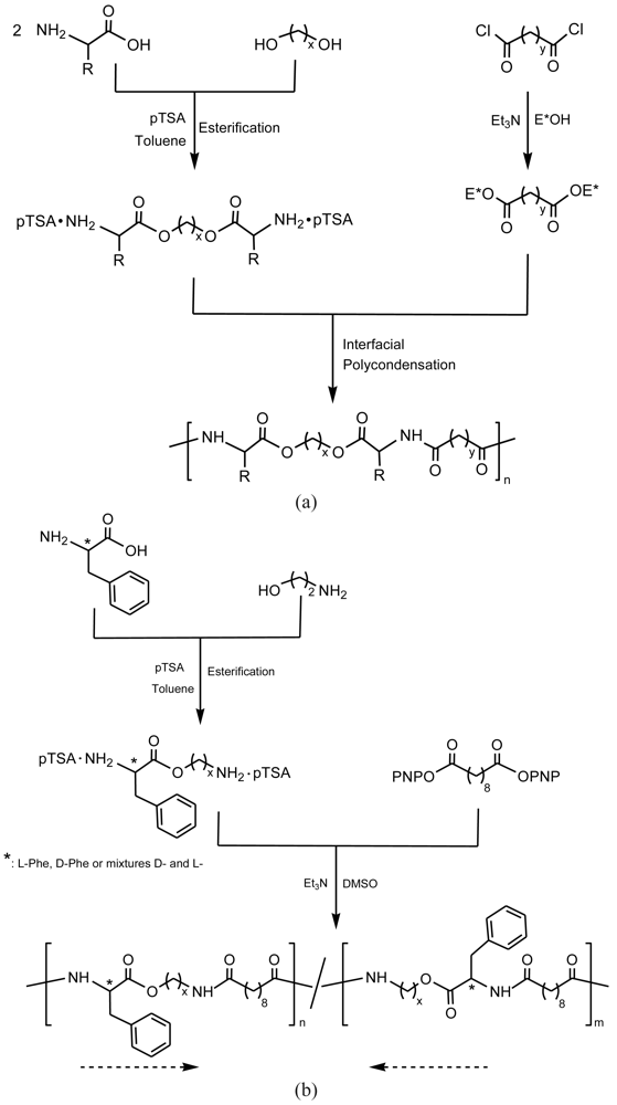 Polymers 03 00065f6 1024