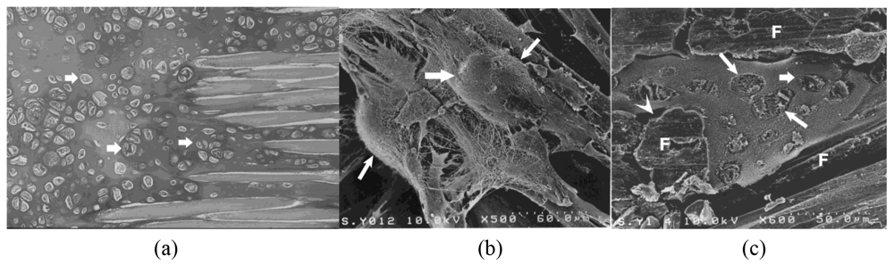 Polymers 03 00100f3 1024