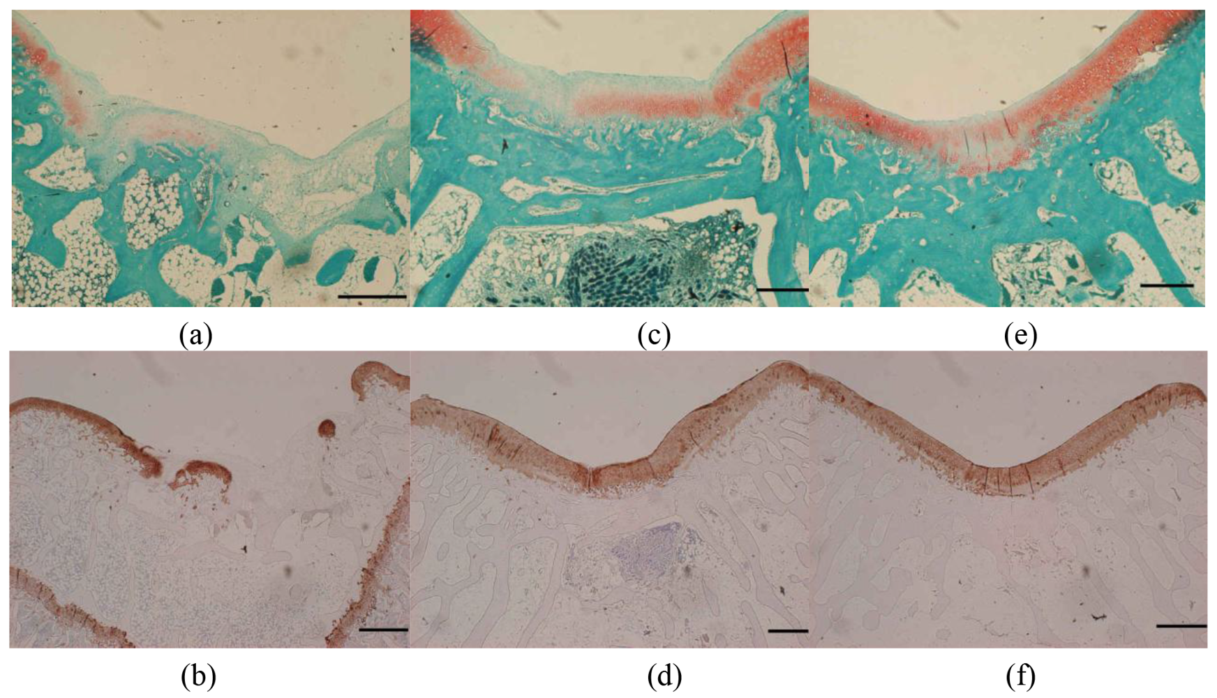 Polymers 03 00100f9 1024