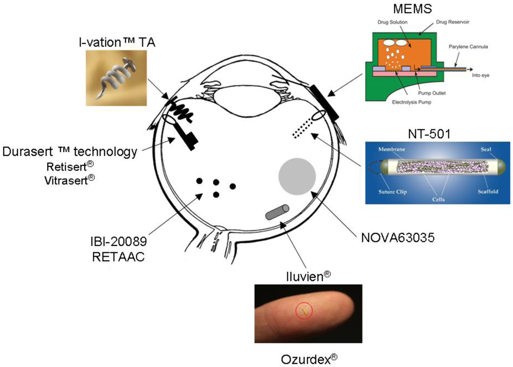 Polymers 03 00193f2 1024