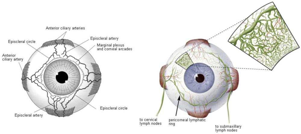 Polymers 03 00193f4 1024