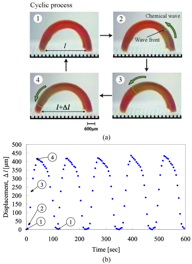 Polymers 03 00299f1a 1024