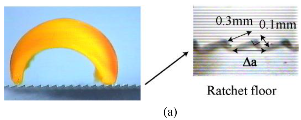 Polymers 03 00299f2a 1024