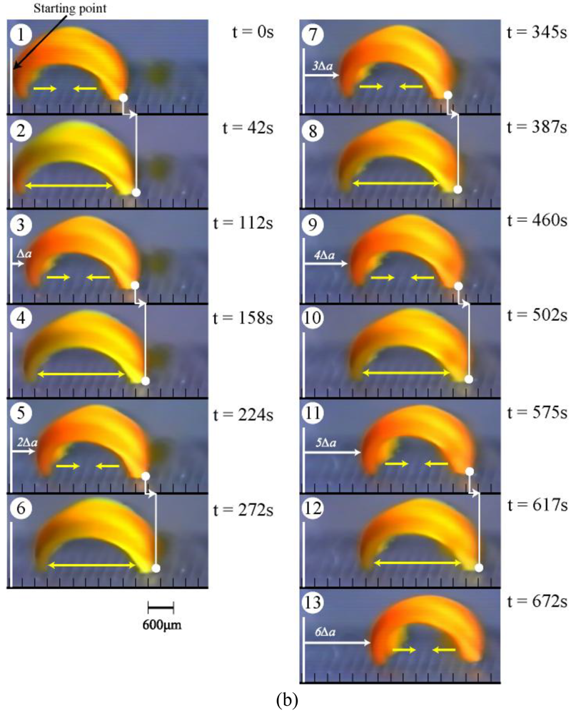 Polymers 03 00299f2b 1024