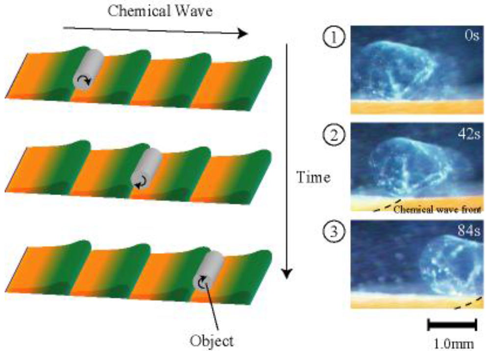 Polymers 03 00299f7 1024