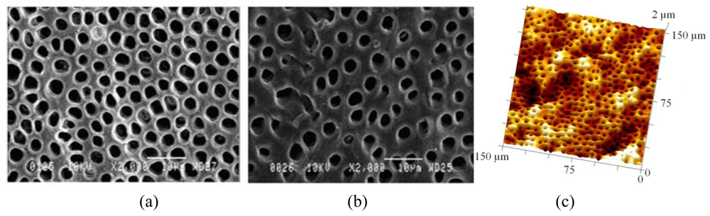 Polymers 03 00314f1 1024