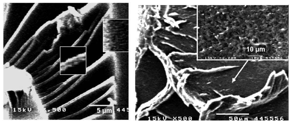 Polymers 03 00467f2 1024