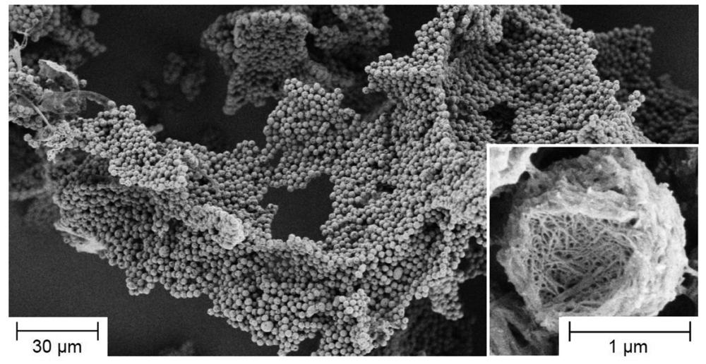 Polymers 03 00467f8 1024