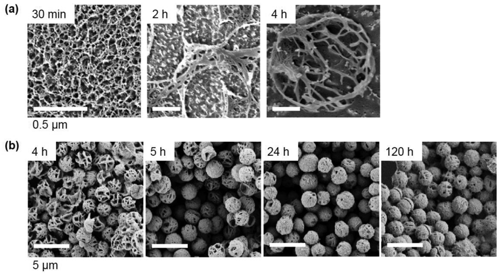 Polymers 03 00467f9 1024