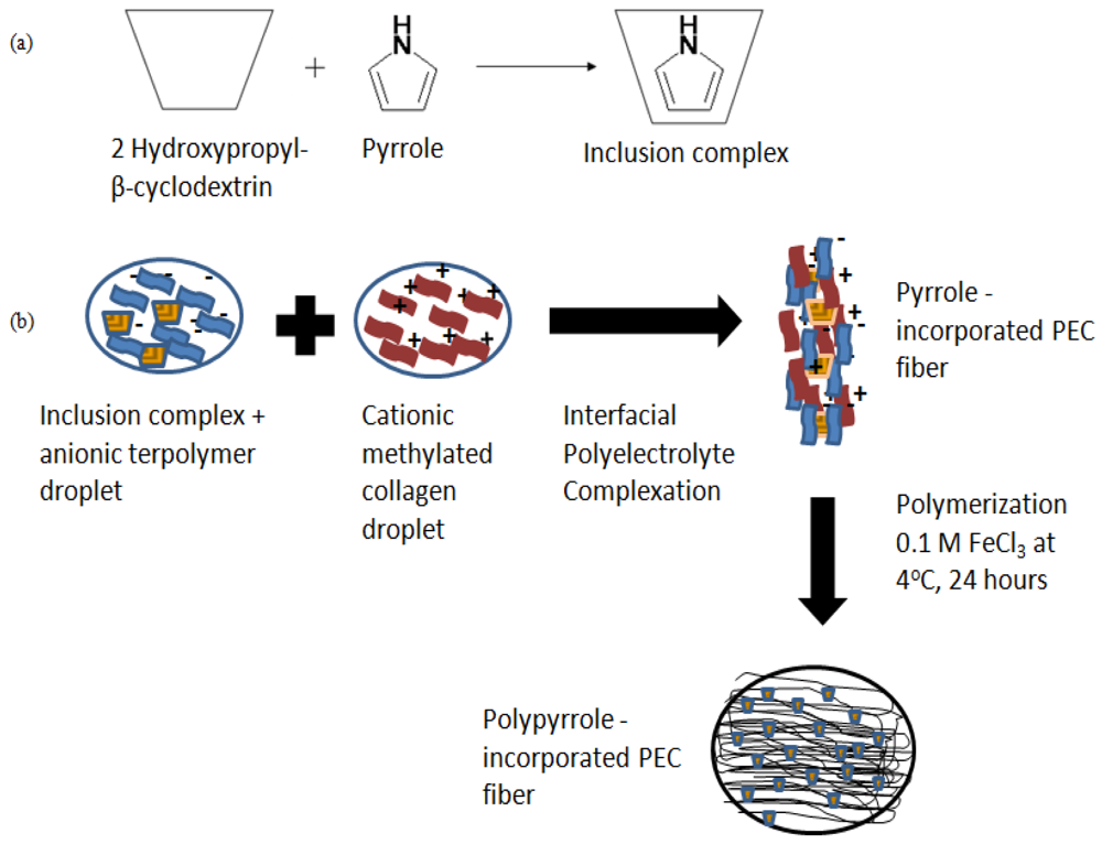 Polymers 03 00527f1 1024