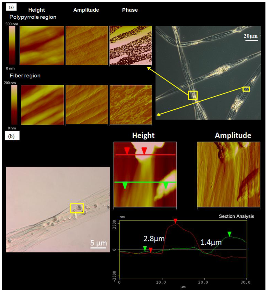 Polymers 03 00527f2 1024