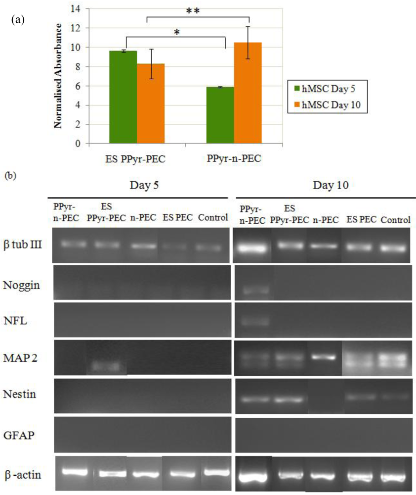 Polymers 03 00527f3 1024