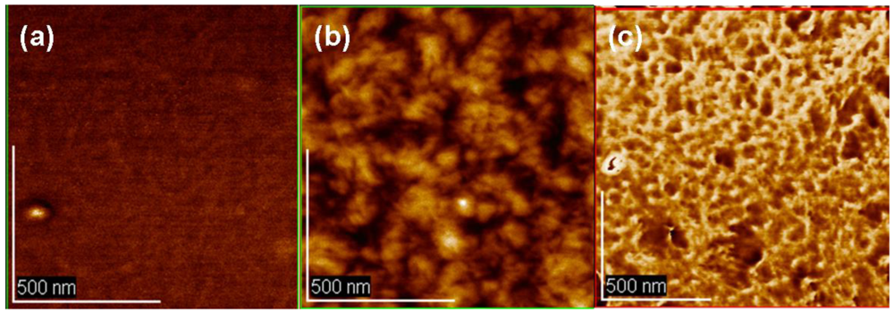 Polymers 03 00558f6 1024