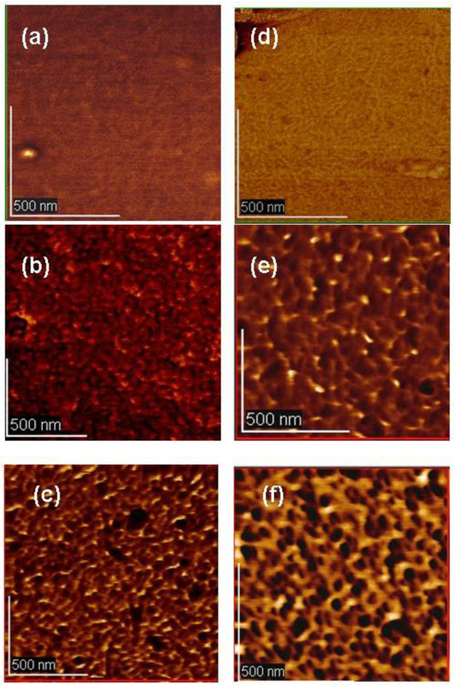 Polymers 03 00558f7 1024