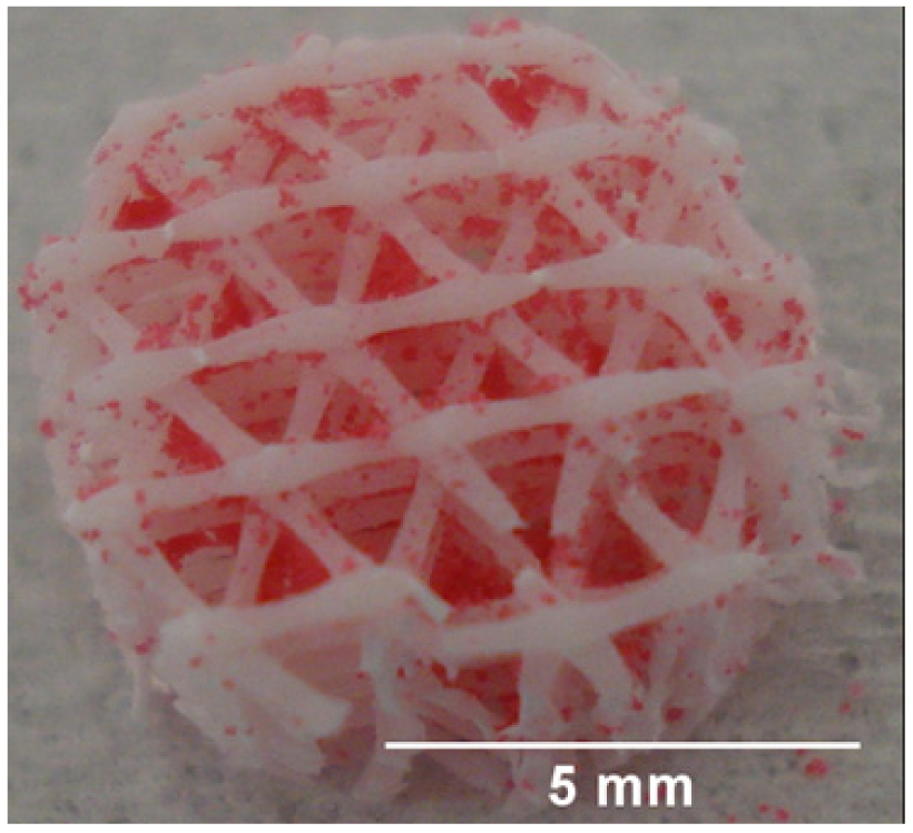 Polymers 03 00571f8 1024