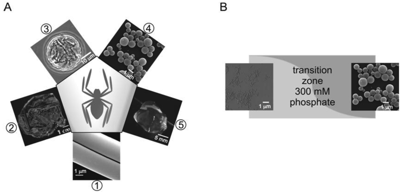 Polymers 03 00640f4 1024