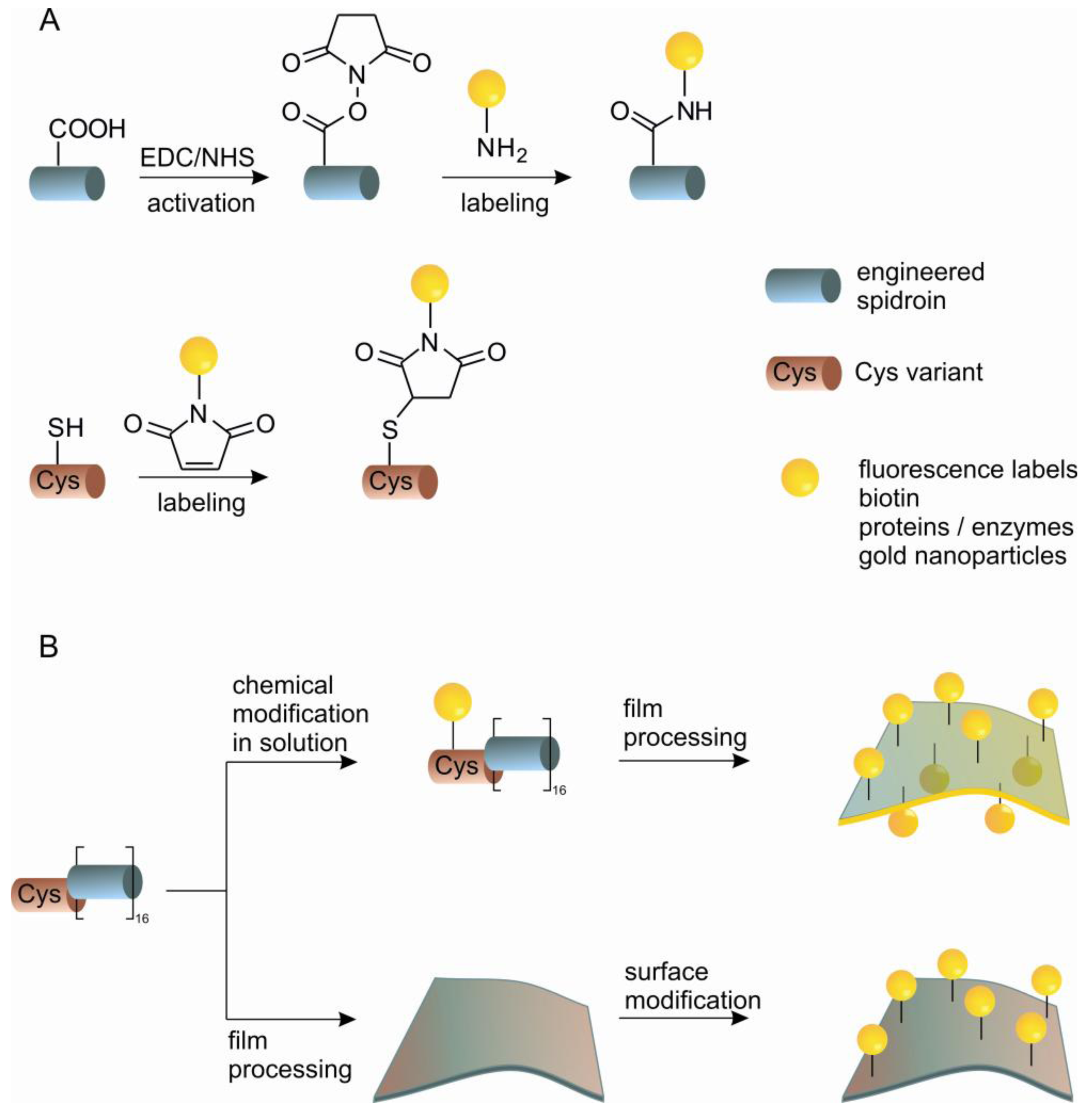 Polymers 03 00640f5 1024