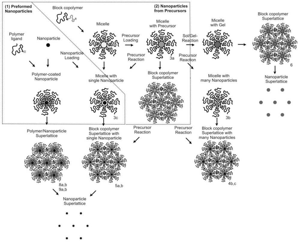 Polymers 03 00662f2 1024