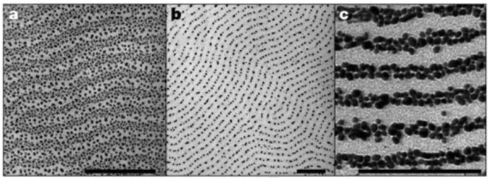 Polymers 03 00662f4 1024