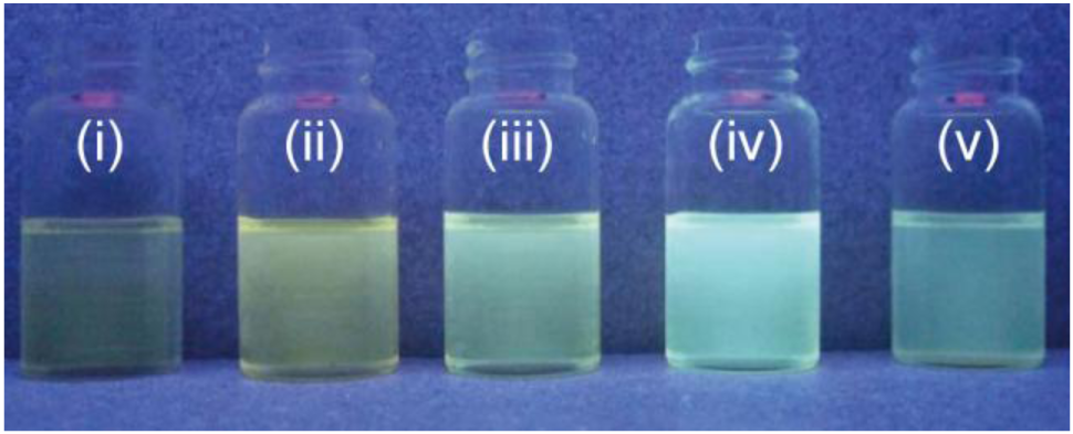 Polymers 03 00861f5 1024