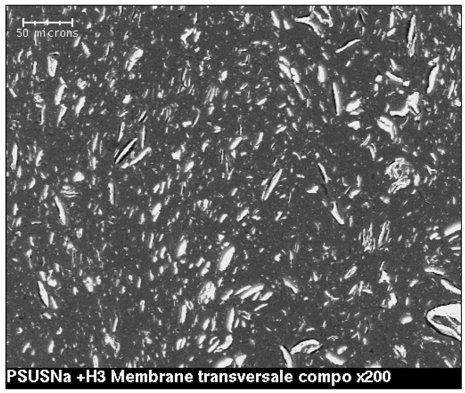 Polymers 03 01126f10 1024